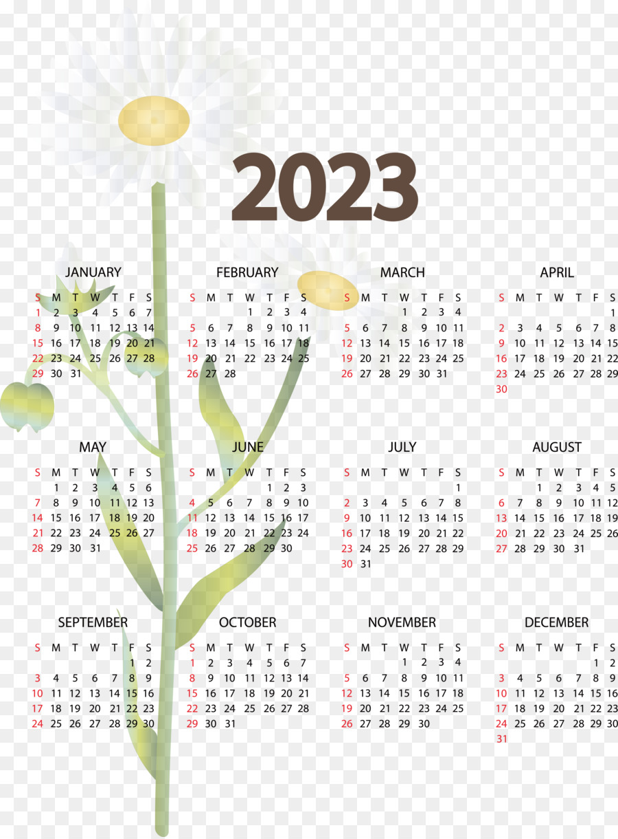 Calendário，Ano Calendário PNG