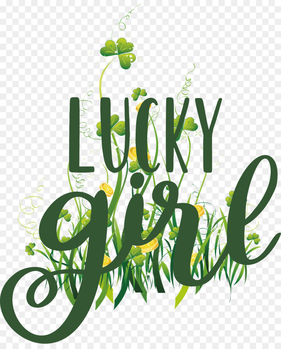 St Patricks Day，Leprechaun PNG