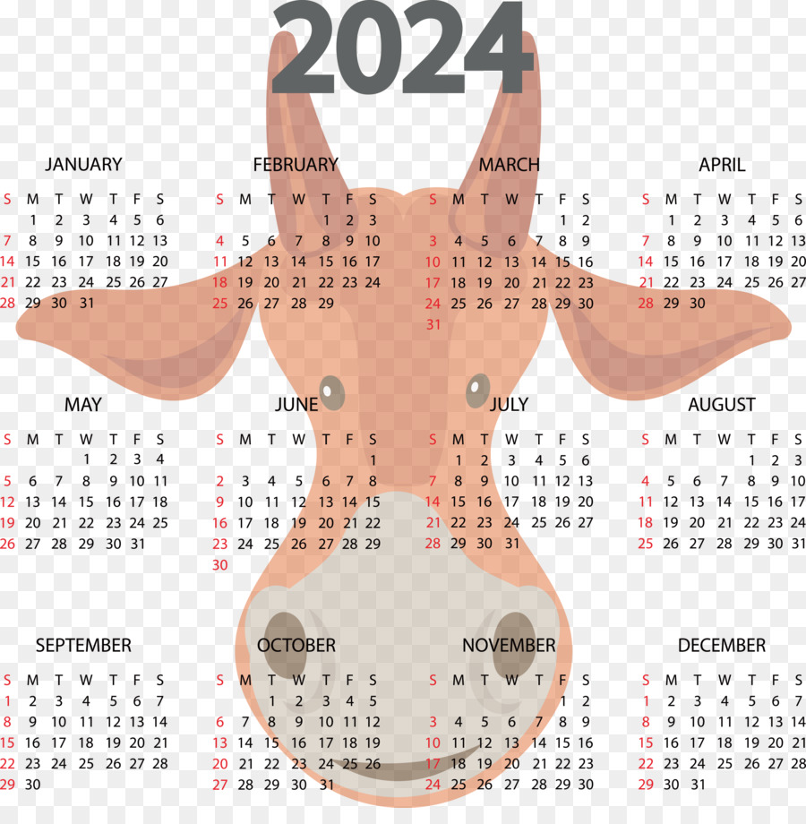 Calendário 2024 Com Vaca，Vaca PNG