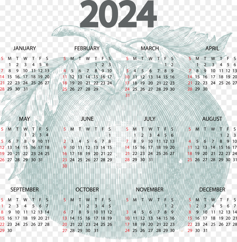 Calendário De Janeiro，Calendário PNG