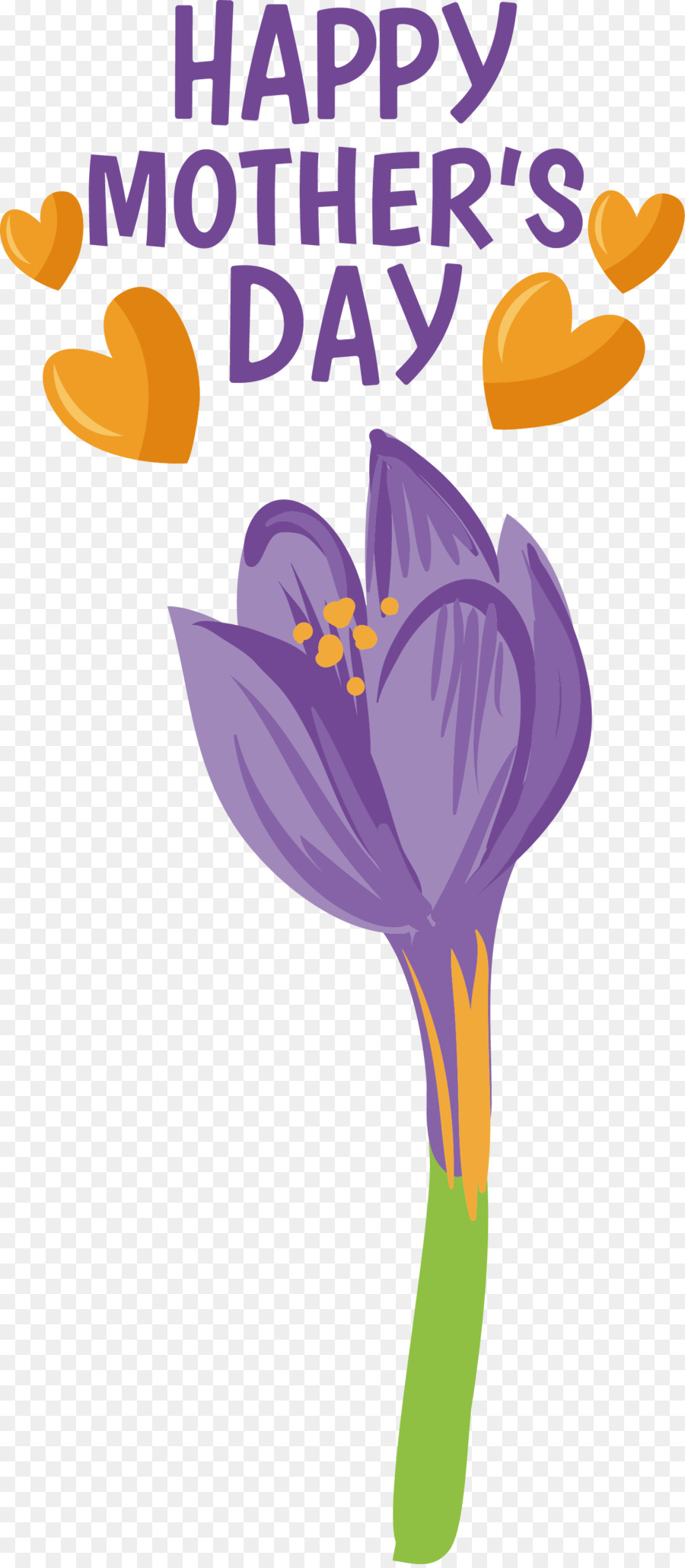 Flor，Texto PNG