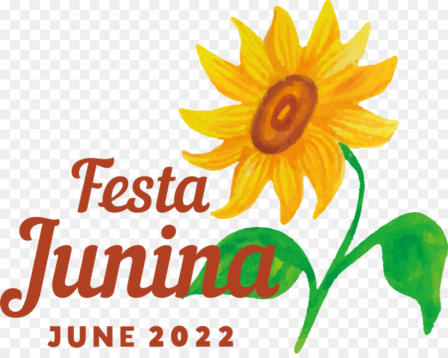 Flor，Daisy Família PNG