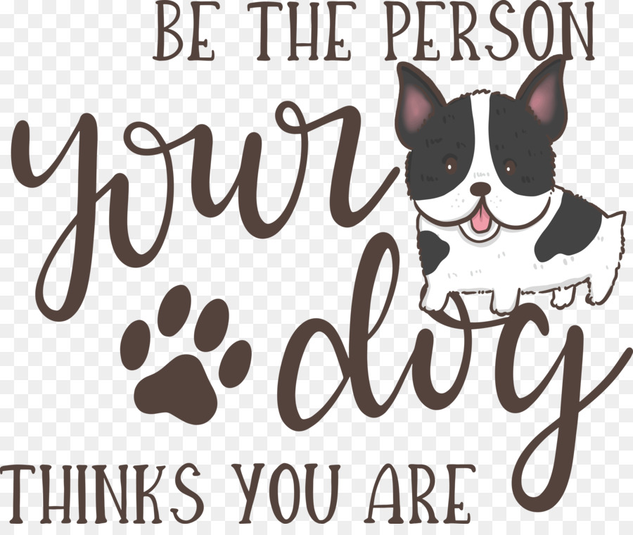 Boston Terrier，Gato PNG