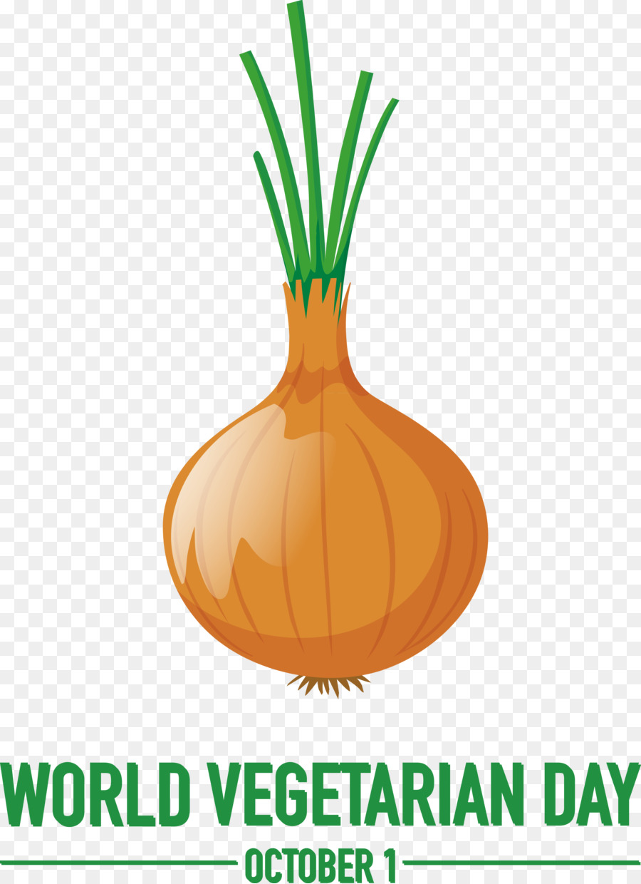 Planta，Cebola PNG