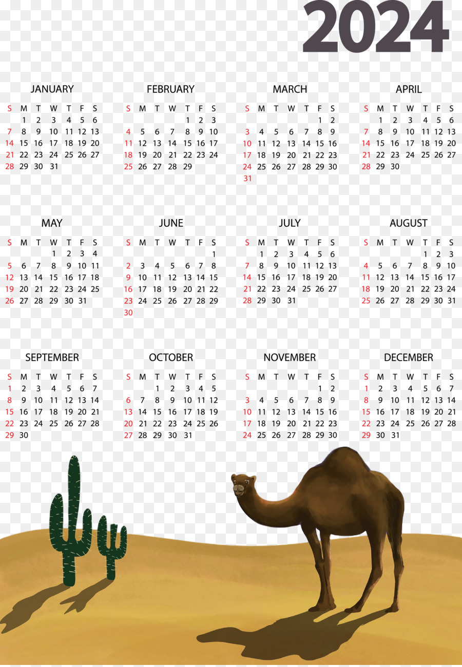 Calendário， PNG