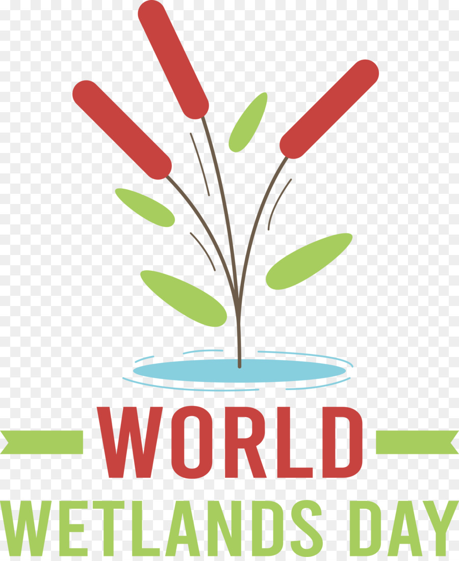 Dia Mundial Das Zonas Húmidas， PNG