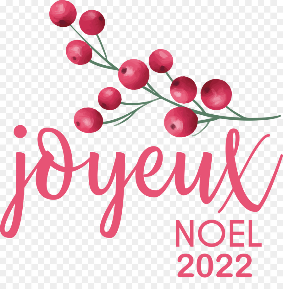 Feliz Noël，Feliz Natal PNG