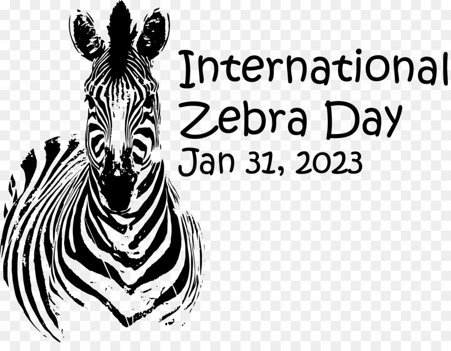 Dia Internacional Da Zebra，Zebra PNG