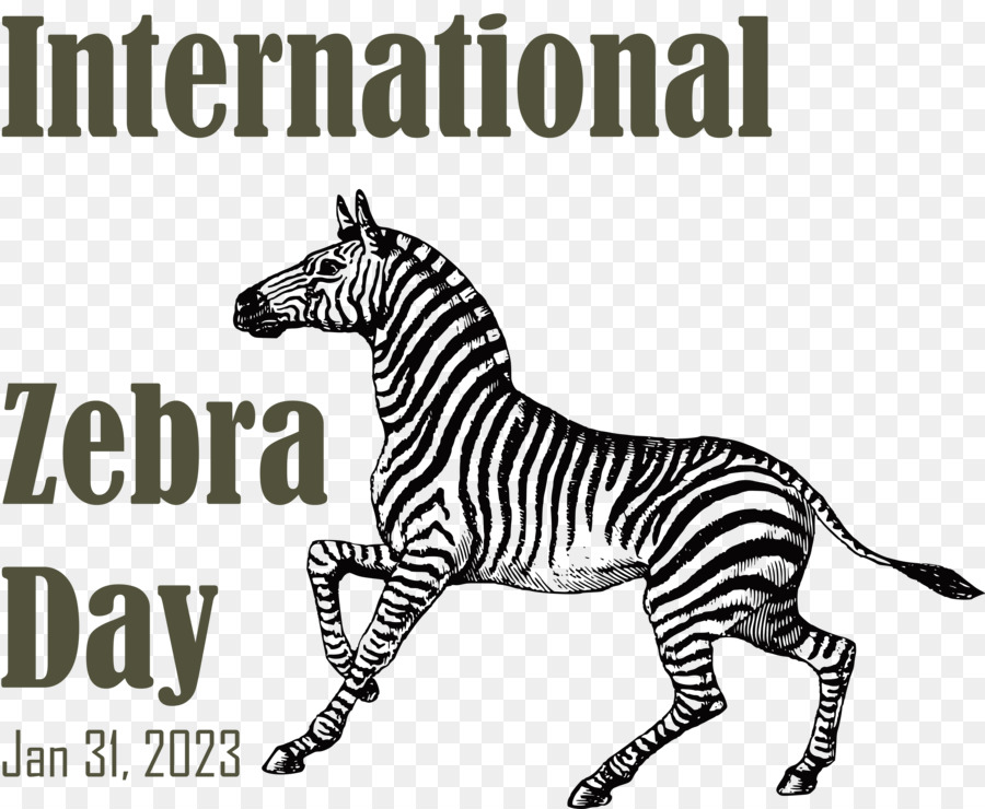 Dia Internacional Da Zebra， PNG