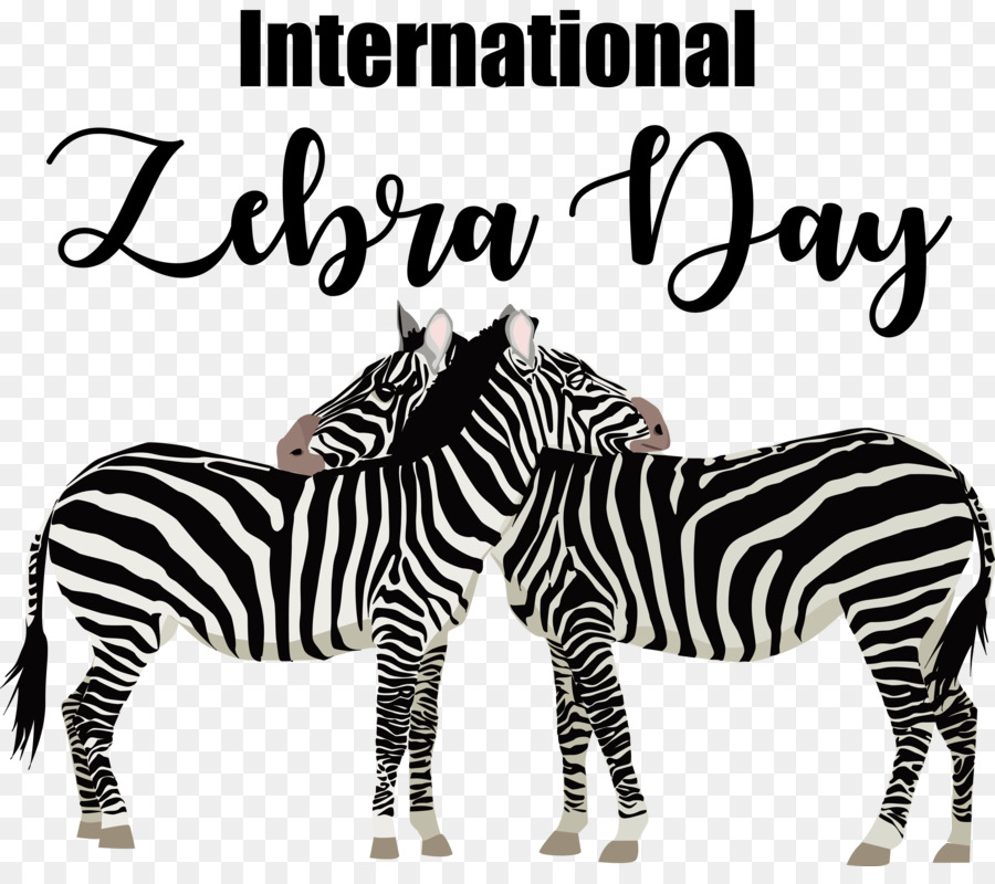 Dia Internacional Da Zebra， PNG