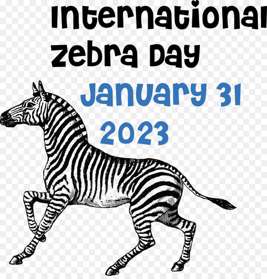 Dia Internacional Da Zebra， PNG