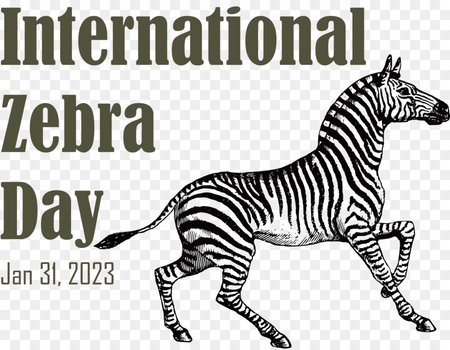 Dia Internacional Da Zebra， PNG