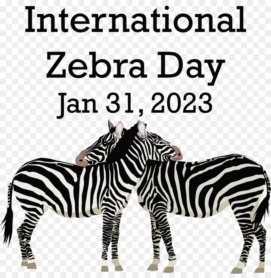 Dia Internacional Da Zebra， PNG