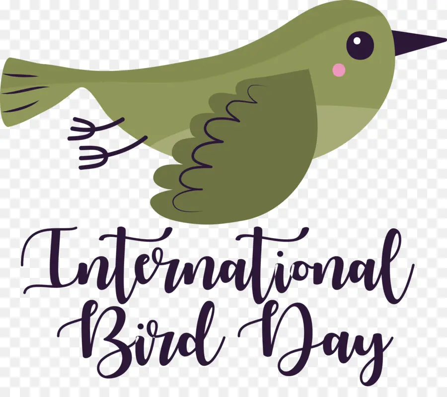 Dia Internacional Das Aves，Dia Do Pássaro PNG