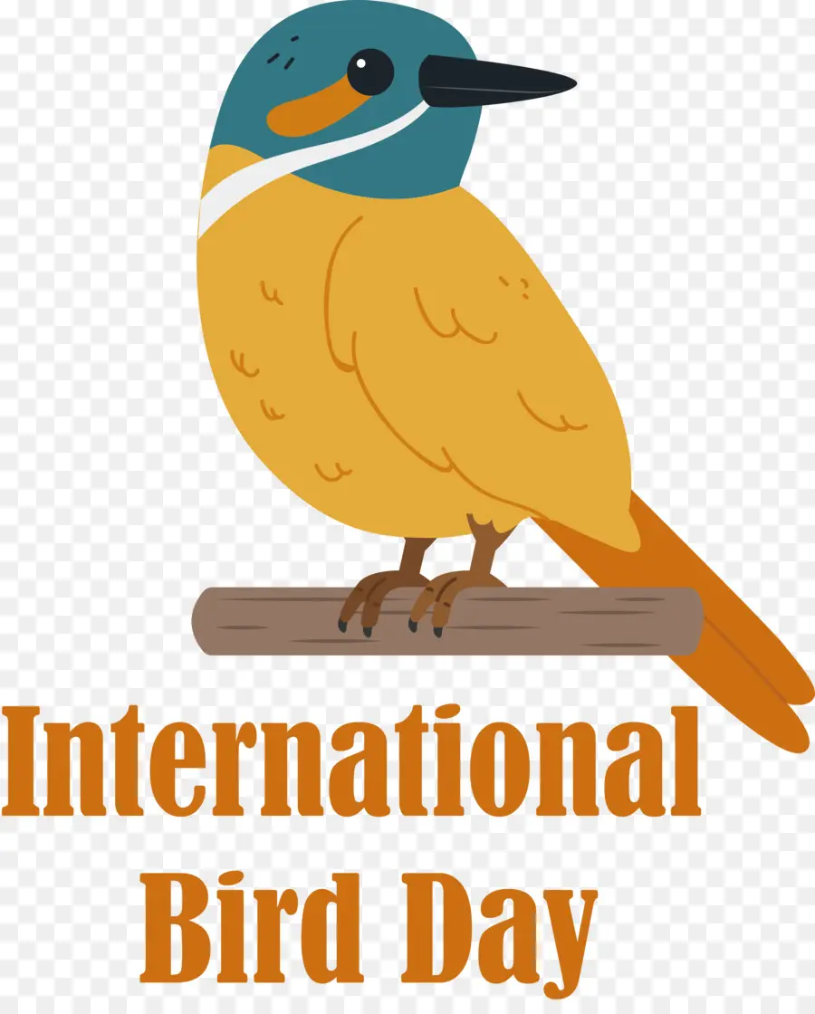 Dia Internacional Das Aves，Pássaro PNG