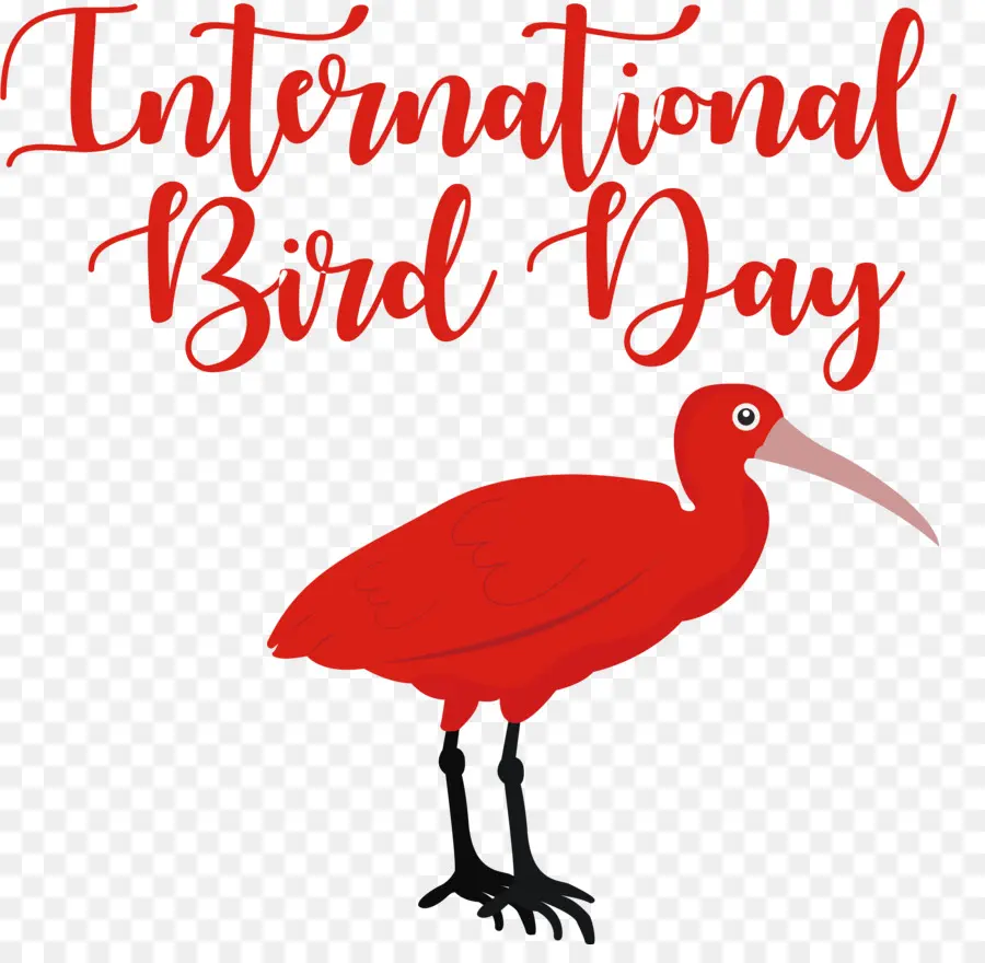 Dia Internacional Dos Pássaros，Pássaro Dia PNG