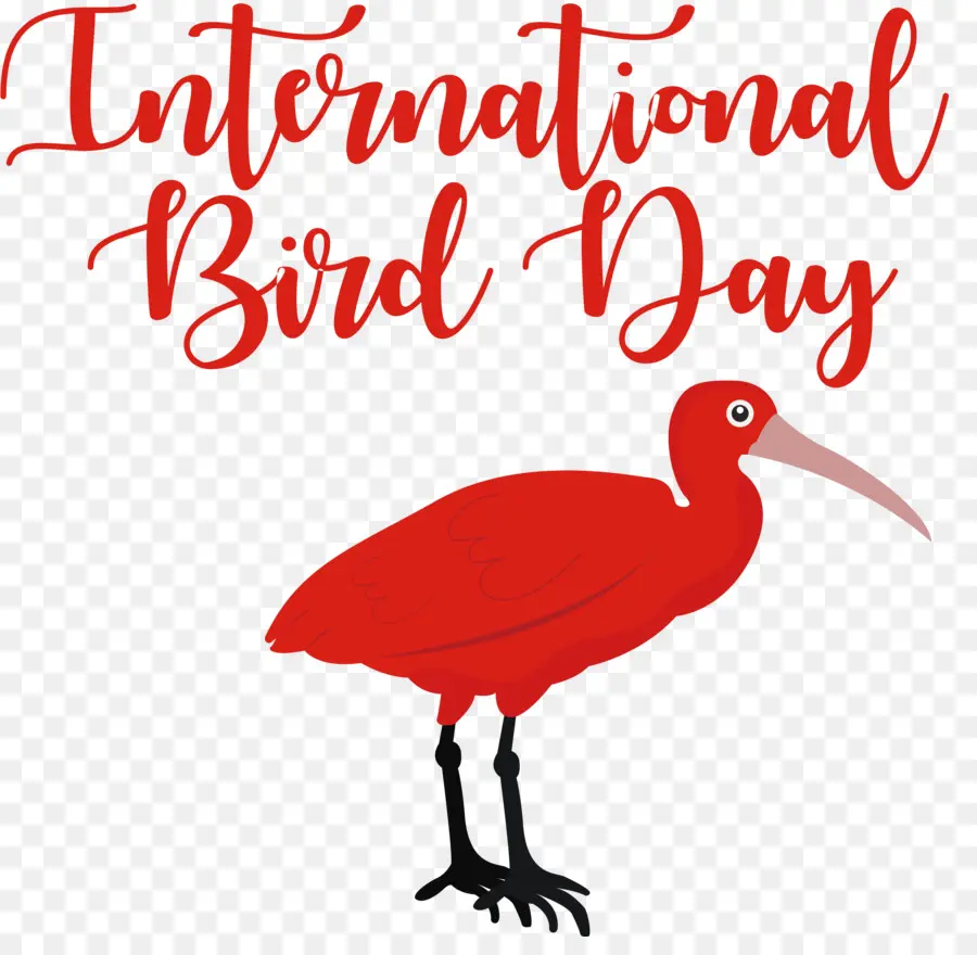 Dia Internacional Das Aves，Pássaro PNG