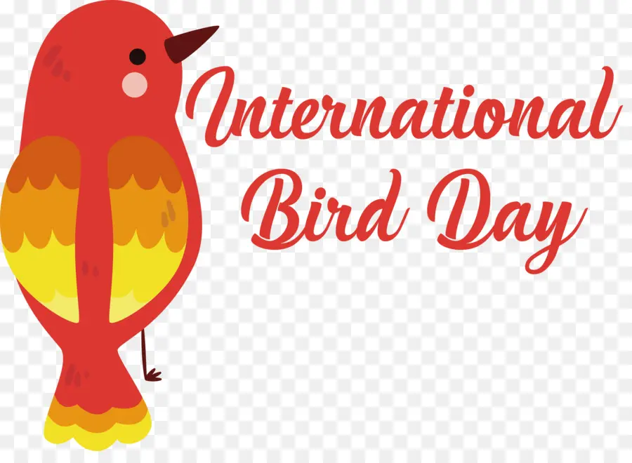 Dia Internacional Das Aves，Pássaro Vermelho PNG