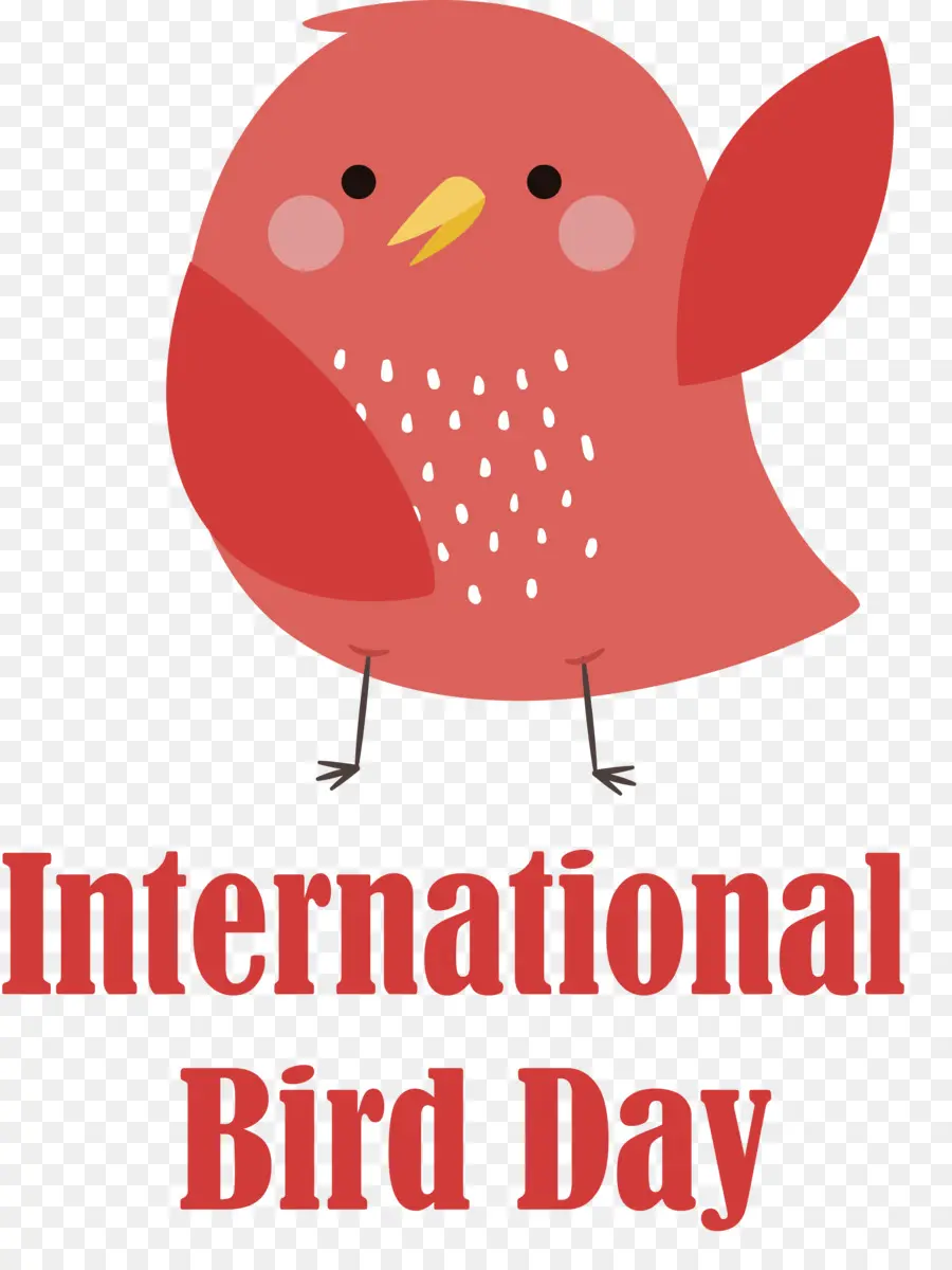 Dia Internacional Das Aves，Pássaro PNG