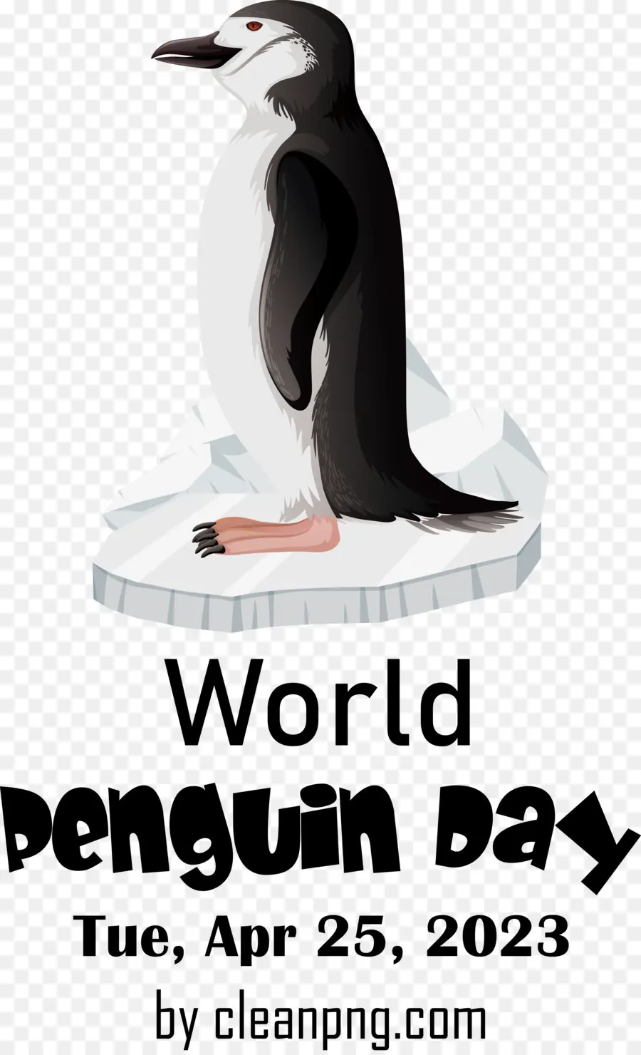 Dia Mundial Do Pinguim，Dia Do Pinguim PNG