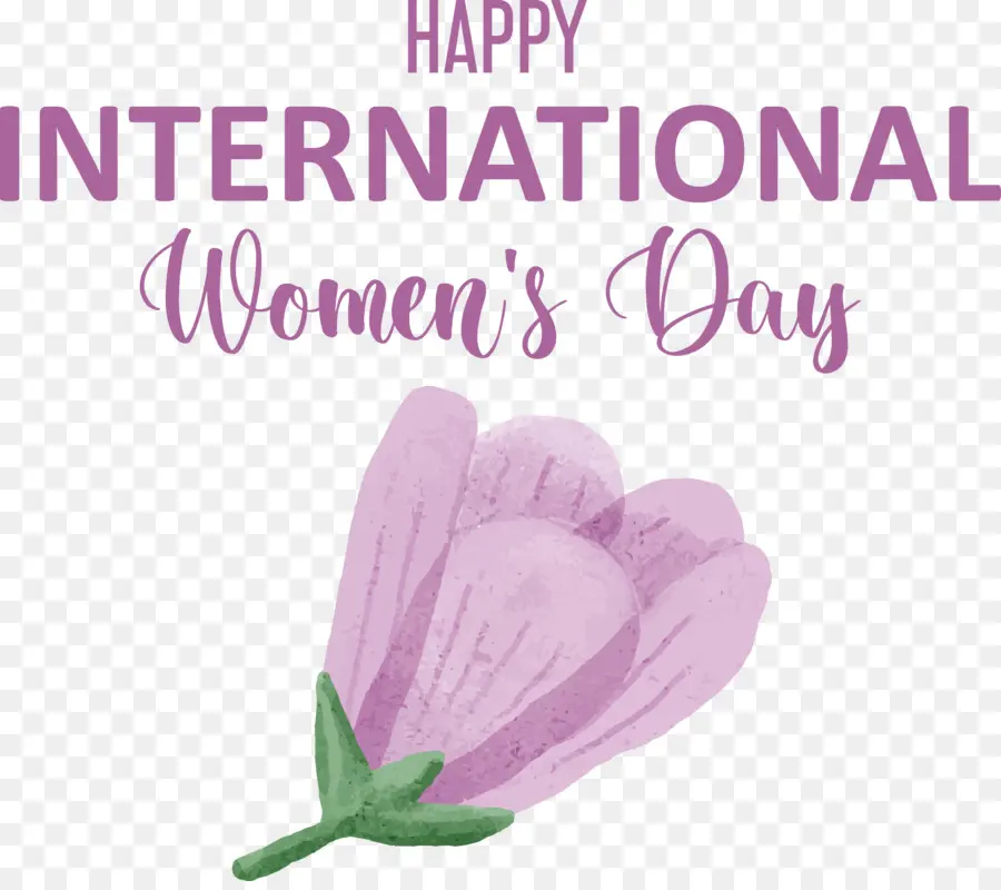 Women's Day，Dia Internacional Da Mulher PNG