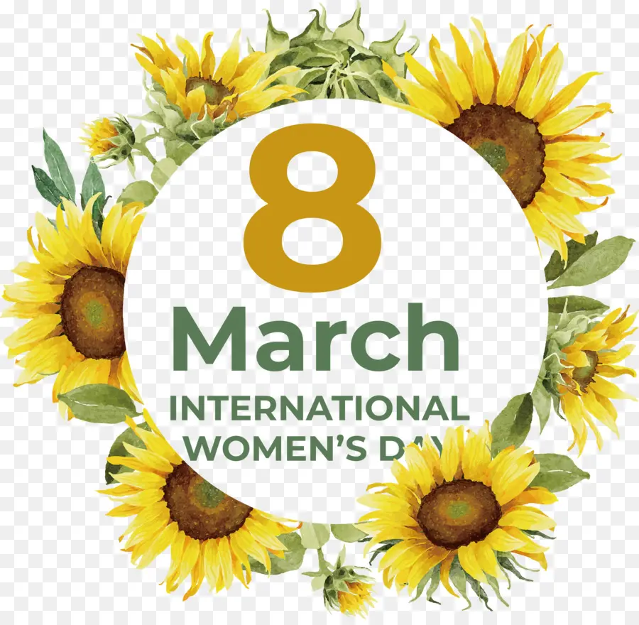 Women's Day，Dia Internacional Da Mulher PNG