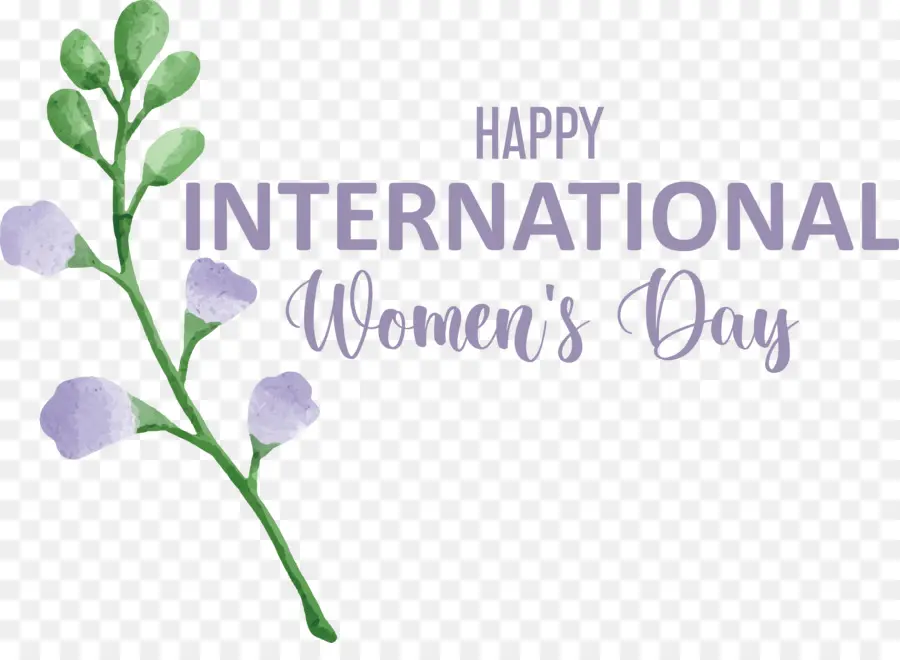 Women's Day，Dia Internacional Da Mulher PNG