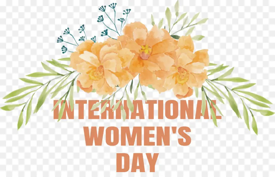 Women's Day，Dia Internacional Da Mulher PNG