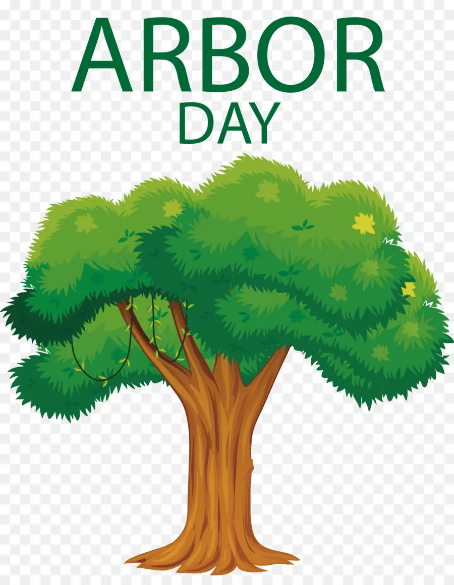 Arbor Day，Arbor PNG