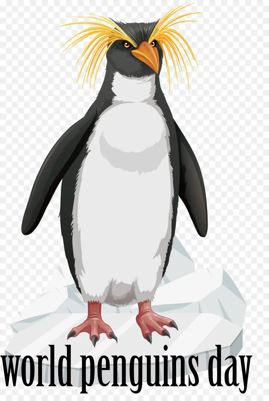 Dia Mundial Do Pinguim，Dia Do Pinguim PNG