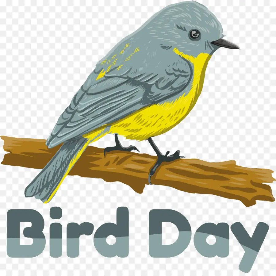 Pássaro Dia，Dia Internacional Dos Pássaros PNG