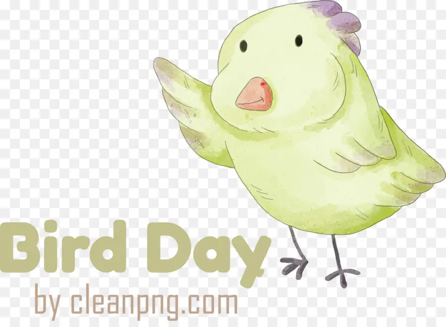 Dia Internacional Das Aves，Pássaro PNG