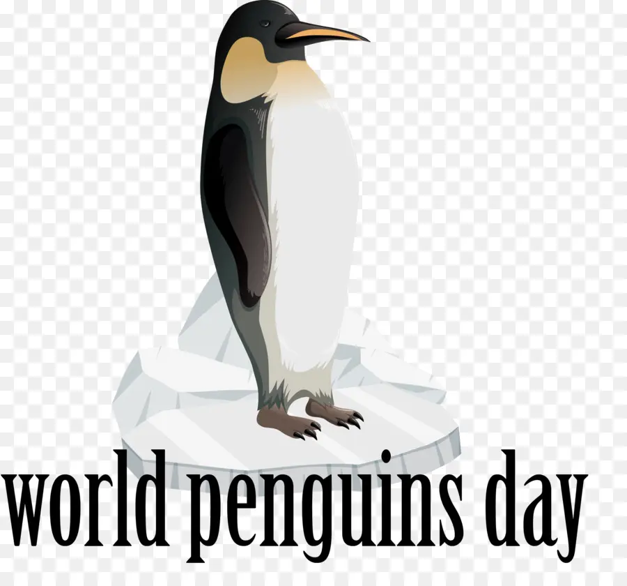 Dia Mundial Do Pinguim，Dia Do Pinguim PNG