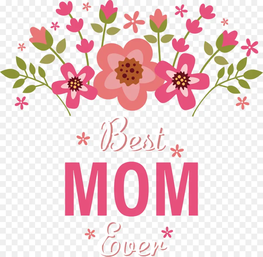 Melhor Mãe De Sempre，Dia Das Mães PNG