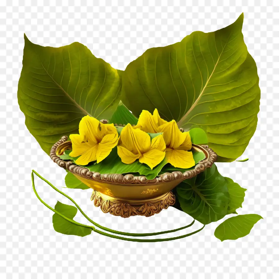 Vis Taihu，Ano Novo Malayali PNG