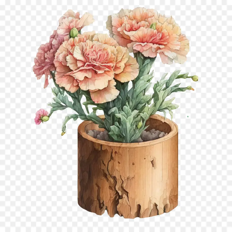 Cravos Em Aquarela，Vaso De Flores PNG