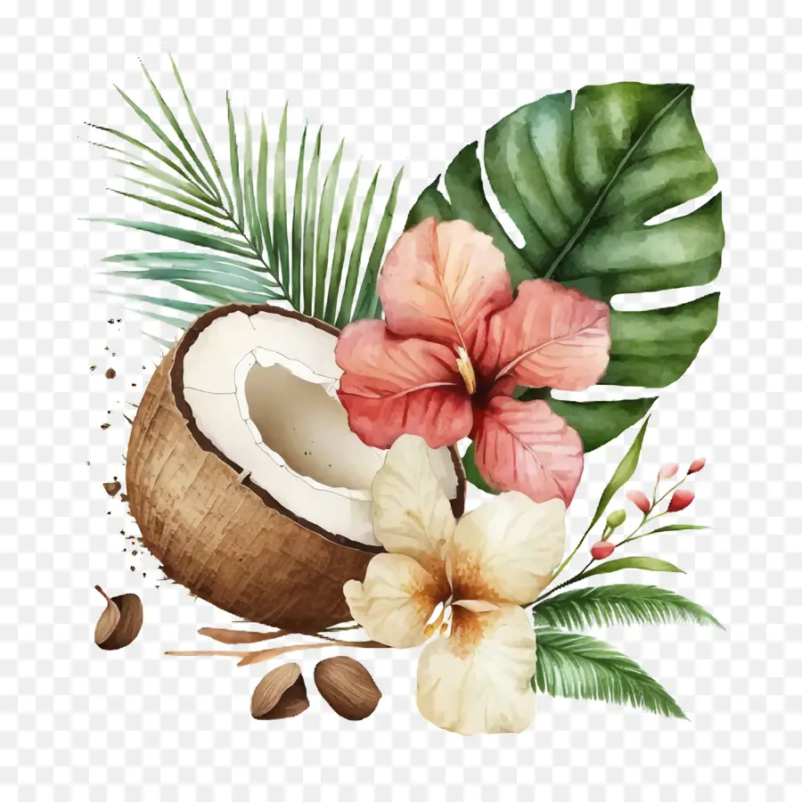 Coco Aquarela，Concha PNG