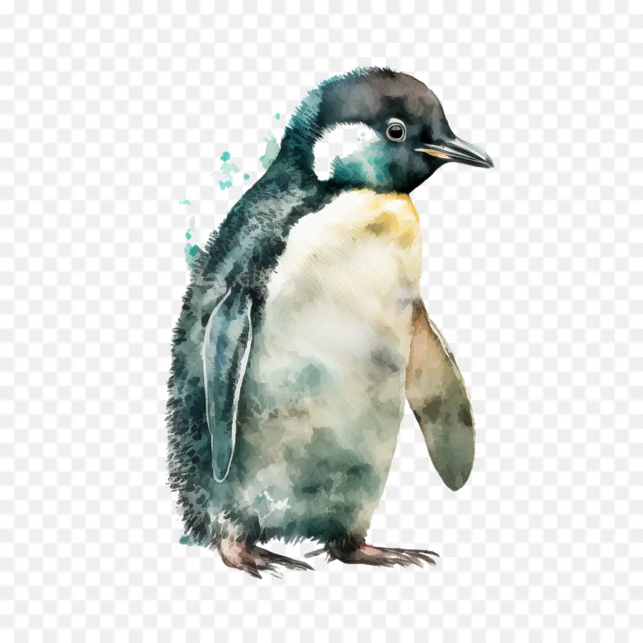 Mundo Do Pinguim Dia，Aquarela Do Pinguim PNG