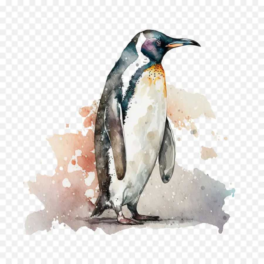 Mundo Do Pinguim Dia，Aquarela Do Pinguim PNG