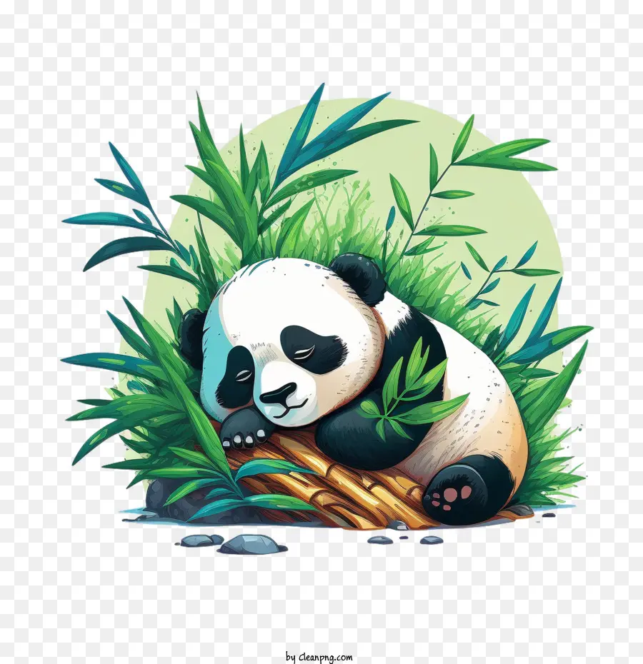 Panda Fofa，Panda Dormindo PNG