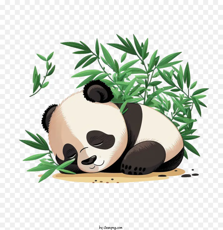Panda Bonito，Panda Dormindo PNG