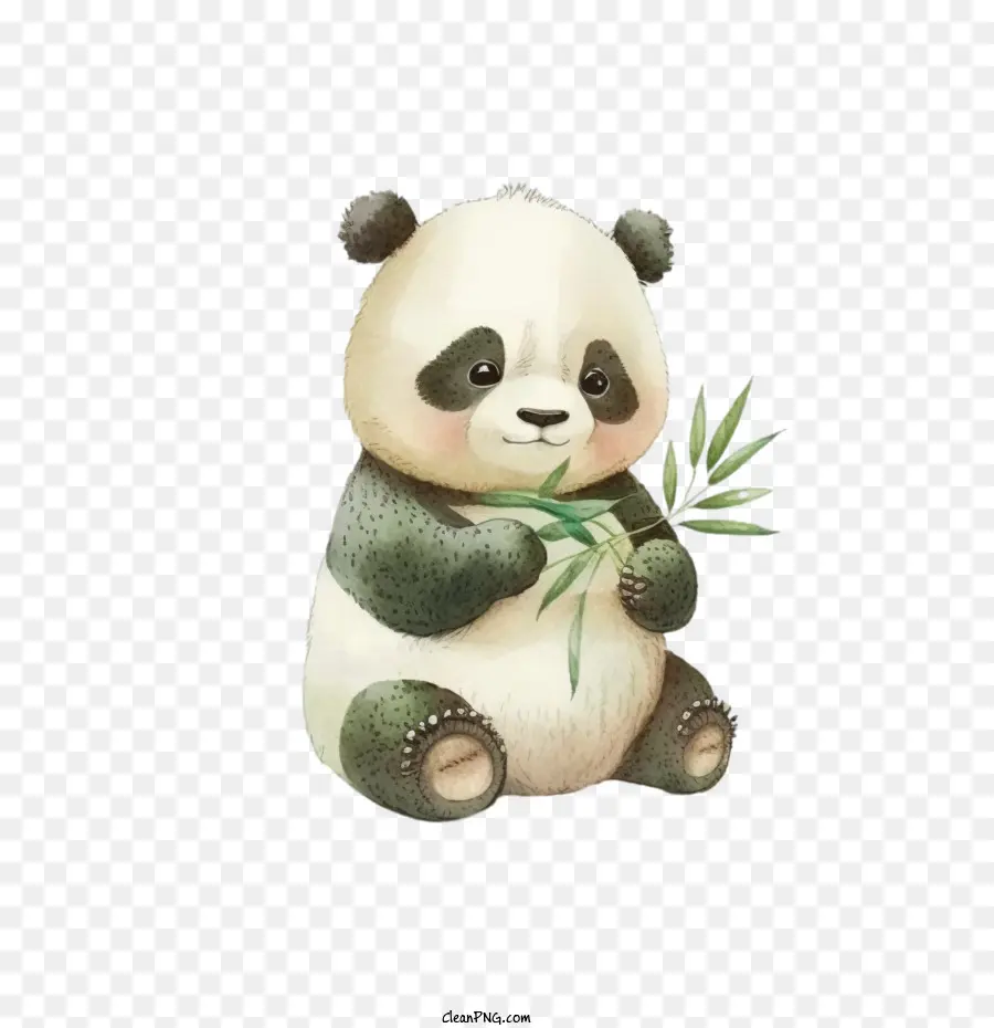 Aquarela Panda，Panda Bonito PNG