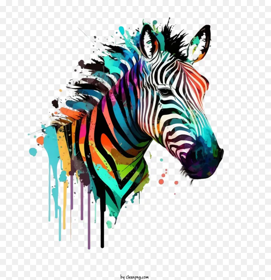 Zebra Multicolorida，Zebra De Descarga PNG