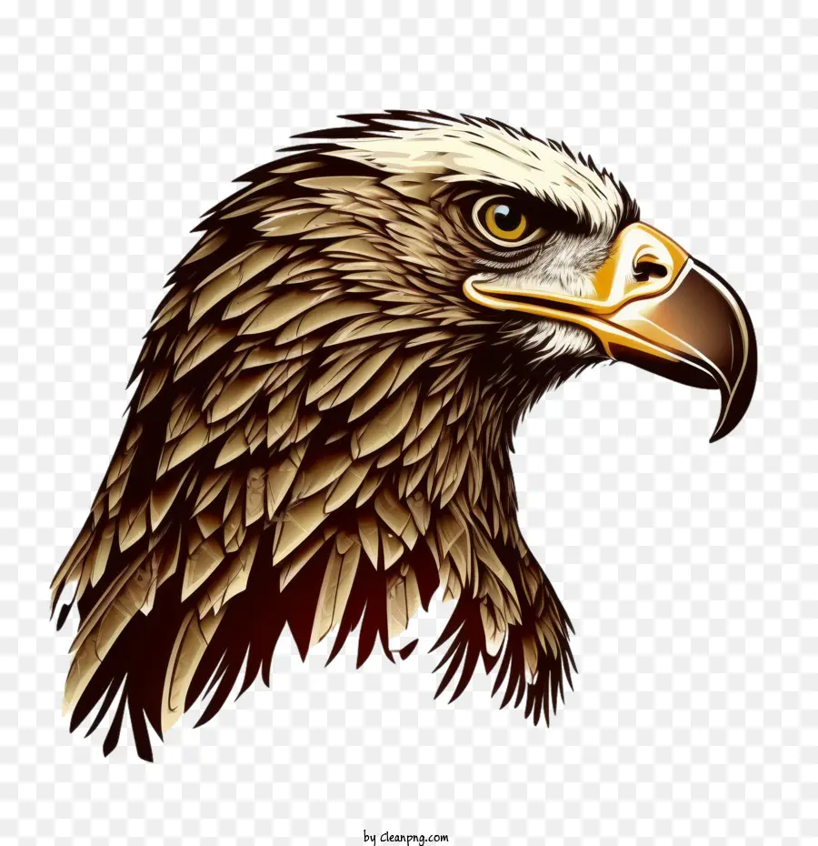 A águia De Cabeça，Micro Animation Eagle PNG