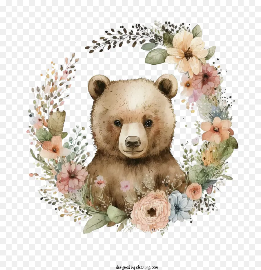 Aquarela Do Urso，Urso Bonito PNG