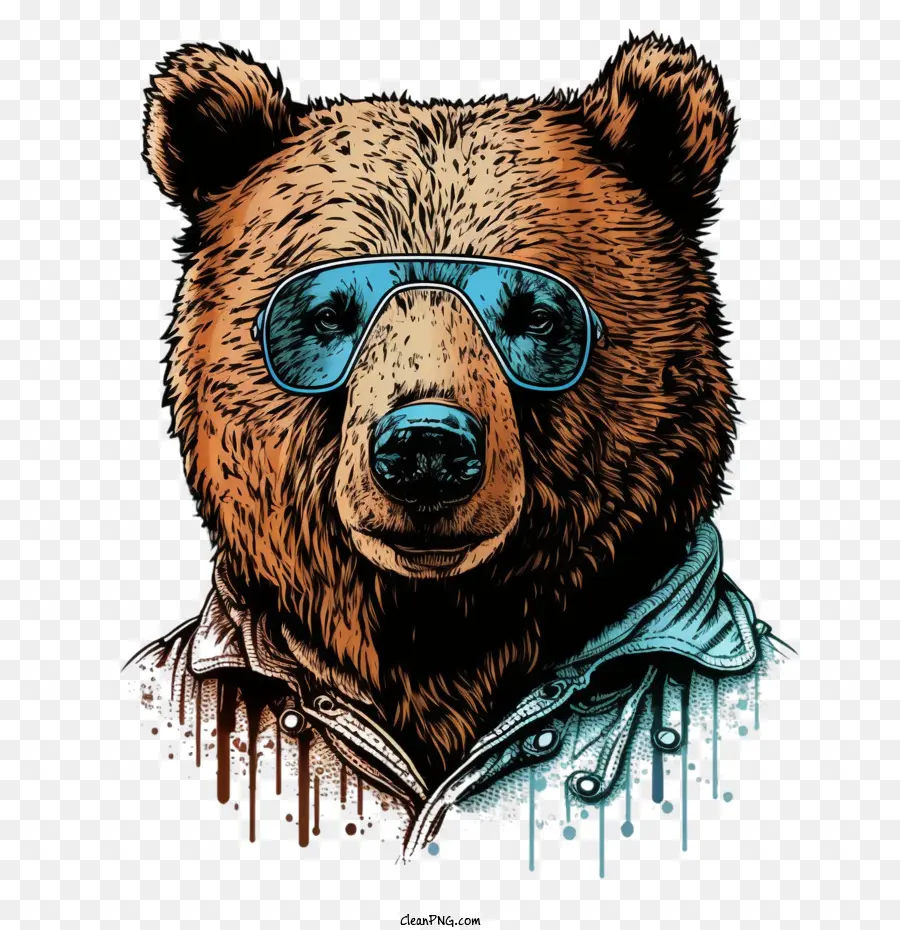 Urso Legal，Urso Retrato PNG