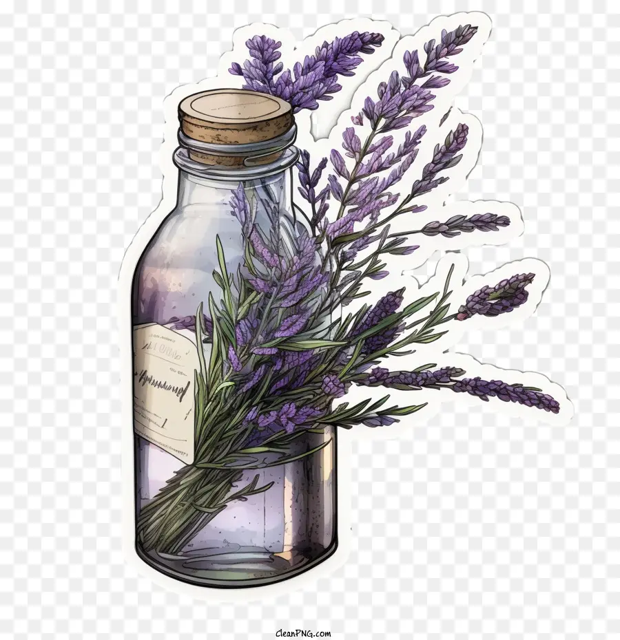 Lavanda，Lavanda Em Uma Garrafa De Vidro PNG