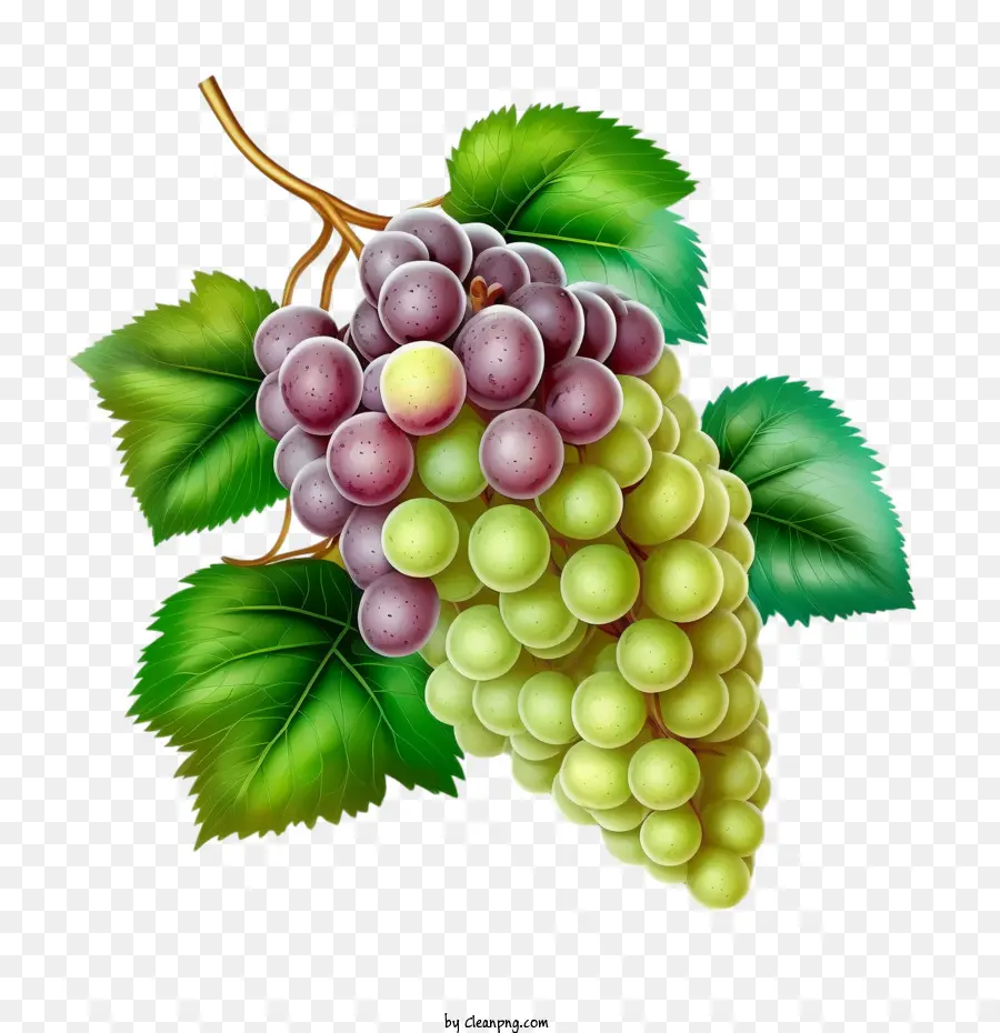 Uvas 3d，Uvas Realistas PNG