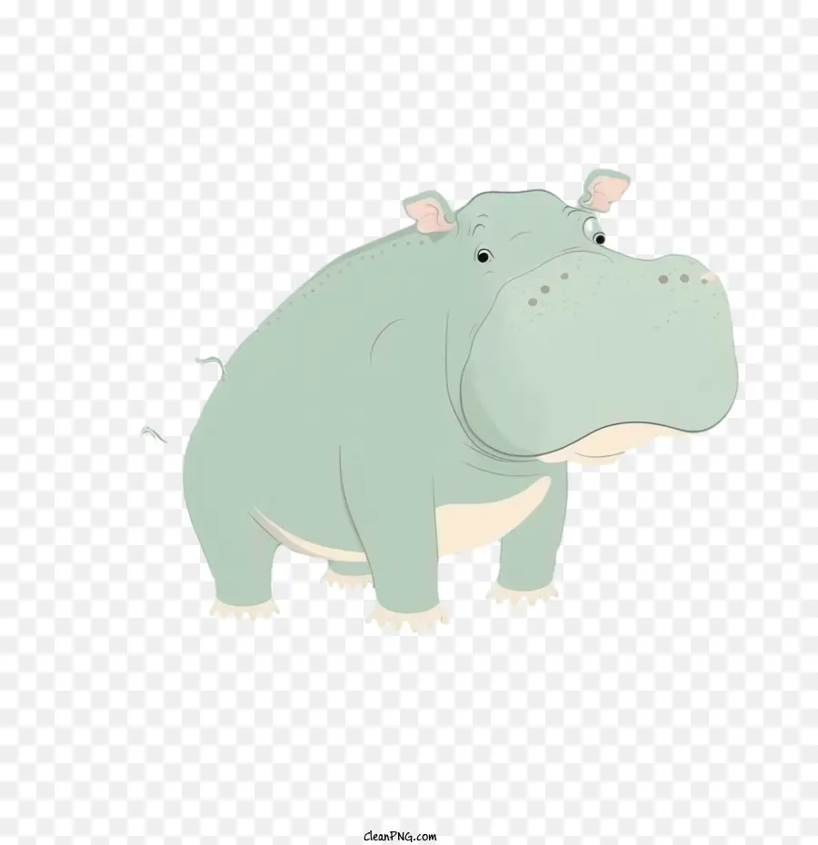 Cartoon Hipopótamo，Bebê Hipopótamo PNG