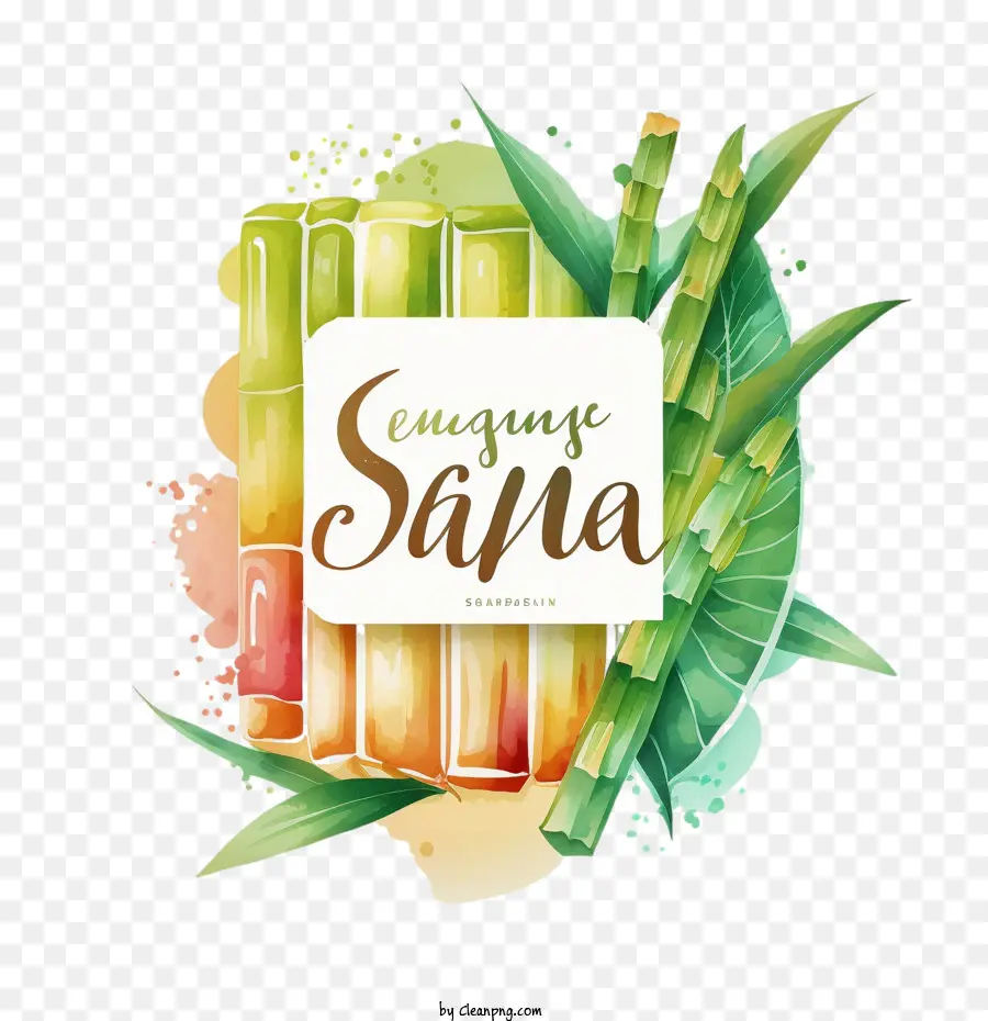 Sugarcane，Cana De Aquarela PNG